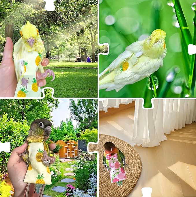 2 Pcs Bird Diapers Bird Harness Flight Suits Diapers with 80in Flying Leash Reusable Parrot Nappy with Waterproof Inner Layer for Cockatiel Budgie Conure Parakeet Lovebird-Apple&Pineapple