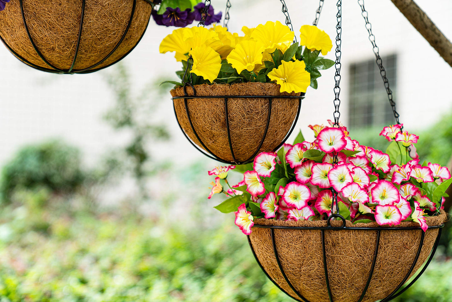 Kingbuy 8" Metal Hanging Plant Baskets with Coconut Liner (2 Pack) - Farmhouse Wire Planters Flower Pots for Plants Ferns Indoor Outdoor Balcony Patio Garden Decoration