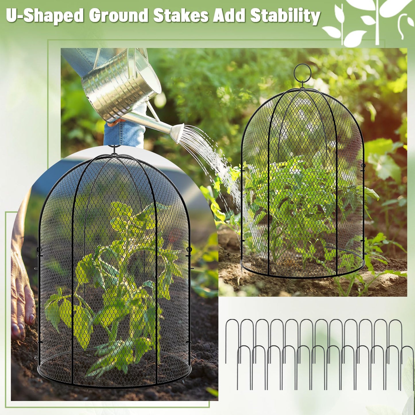 Novabright 6 Pack Garden Cloches for Plants 12" x 16" with Stakes & Zip Ties, Plant Covers from Animals Large Metal Mesh Chicken Wire Cloche Plant Protector Cage for Vegetable Garden Outdoor (Black)