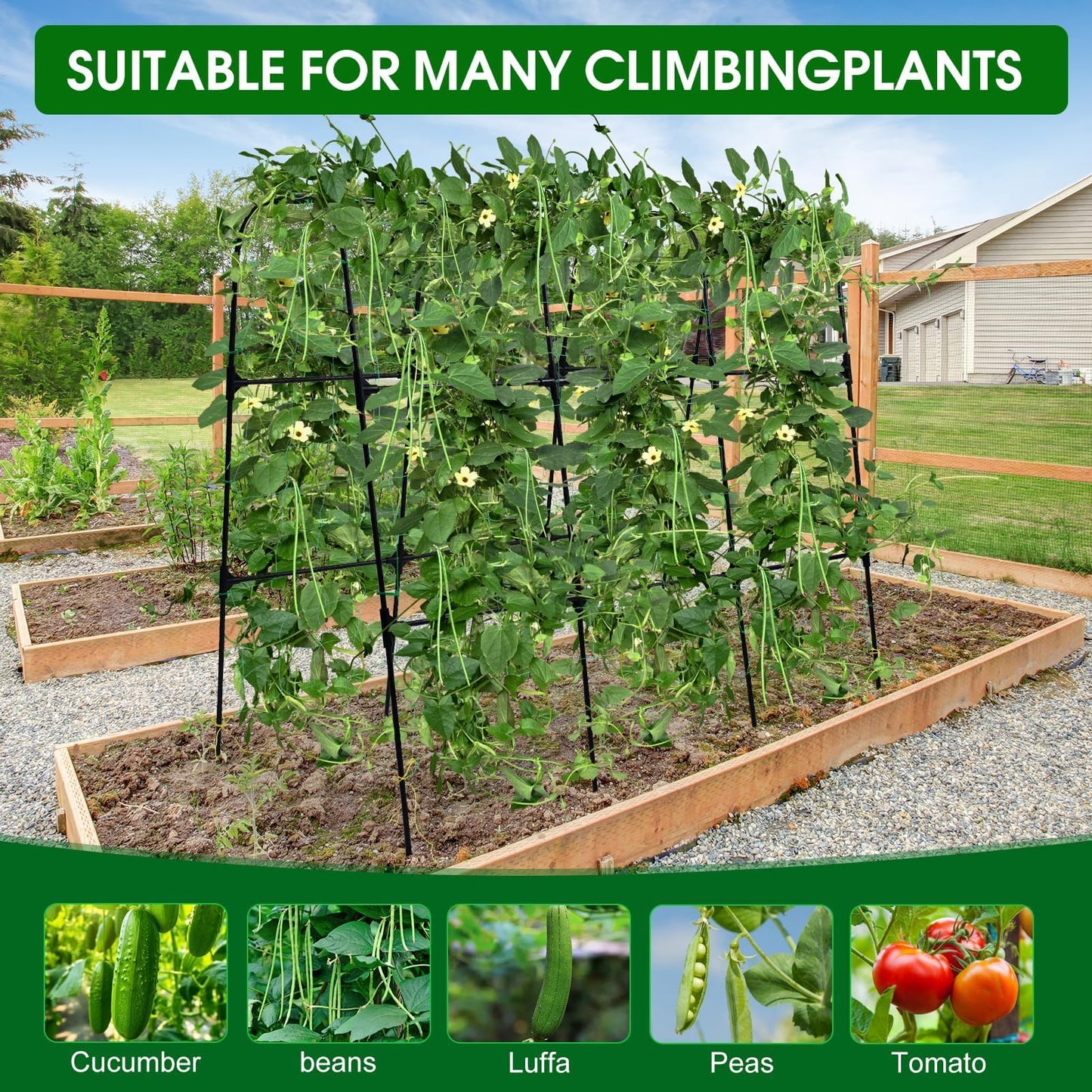OTOSUNNY Cucumber Trellis, 50x48 inch Metal Garden Arch Trellis for Climbing Plants Outdoor, Plant Support for Vegetable Vine Tomato Green Bean Pea Cucumber Trellis for Raised Bed Garden, Black