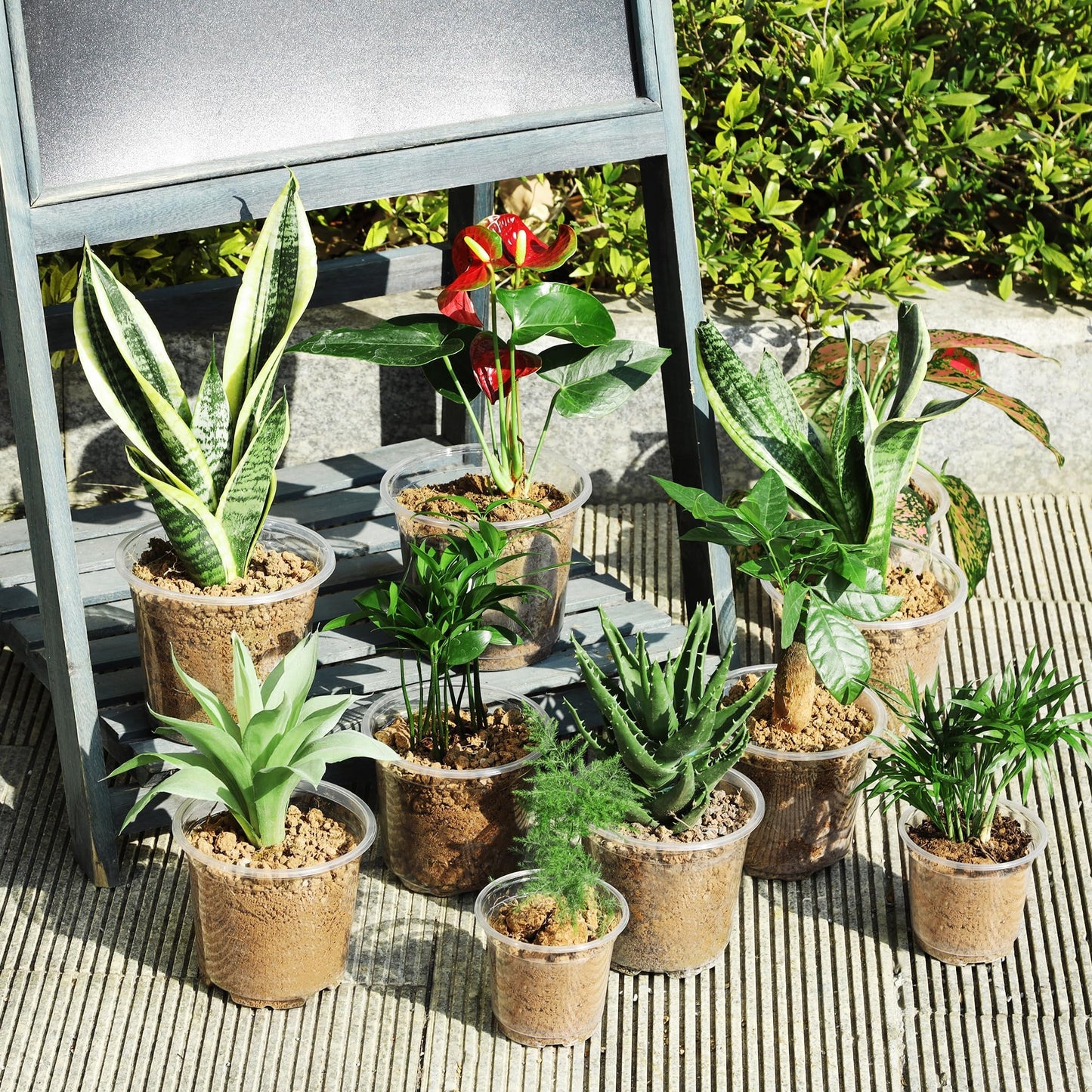 Hemikaki 60 Pack 4/5/6 Inch Clear Nursery Pots with Drainage Holes, Transparent Plastic Plant Pots, Reinforced Seed Starter Flower Pots, Comes with 50pcs Plant Labels