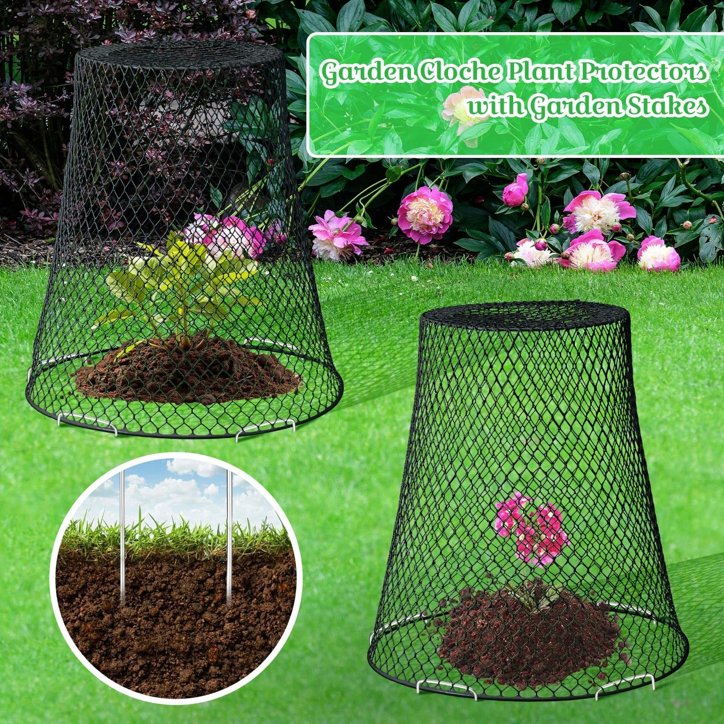 Therwen 15 Pcs Large Plant Wire Cloche 11 x 12 Inch Metal Garden Cloche with Garden Stakes Plant Protector from Animals for Keeping Bunnies Chicken Squirrels Birds (Black)