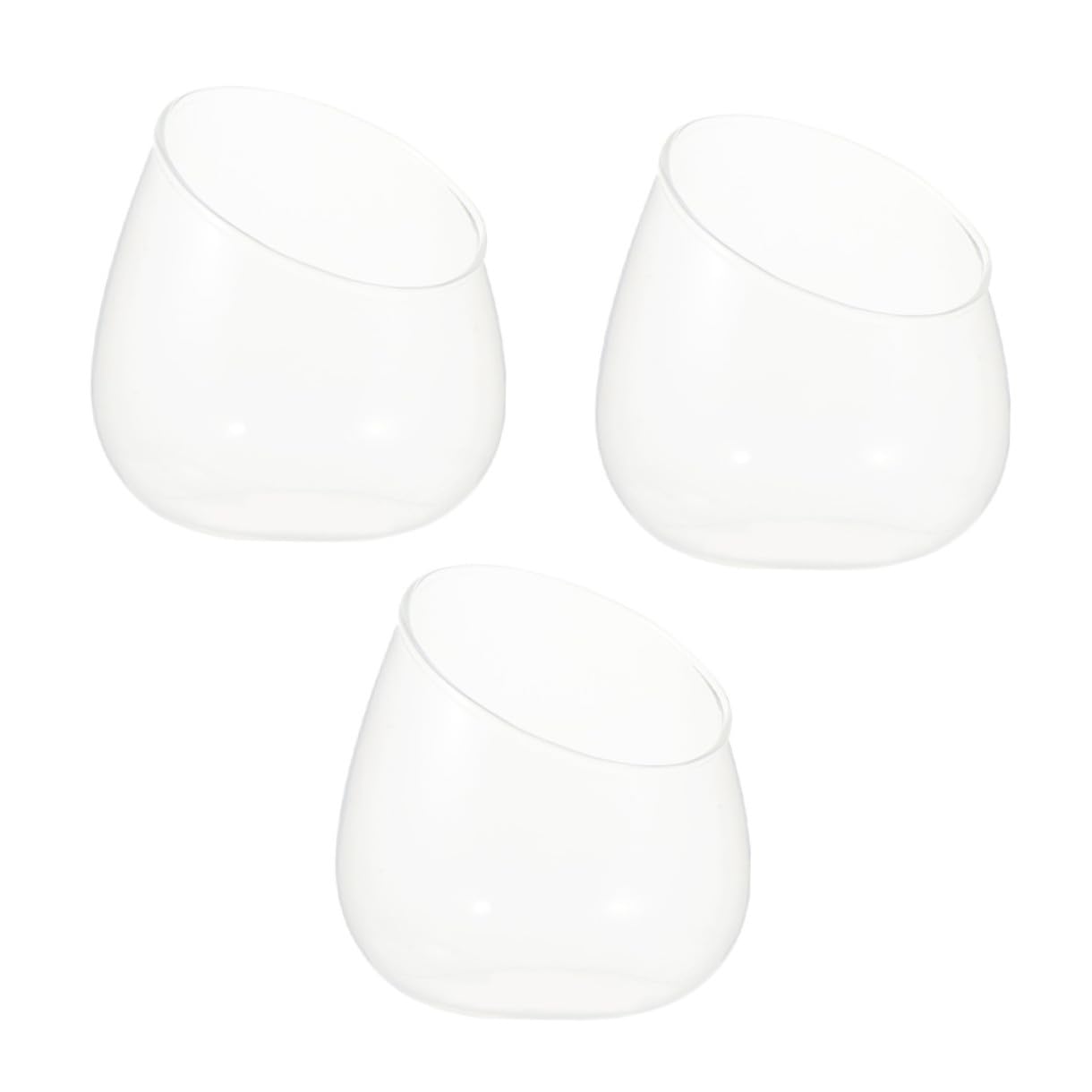 HOMOCONO 3pcs Slant Cut Glass Micro Landscape Bottle Ecological Terrarium Vase for Succulent Plants Desktop Tabletop Decoration