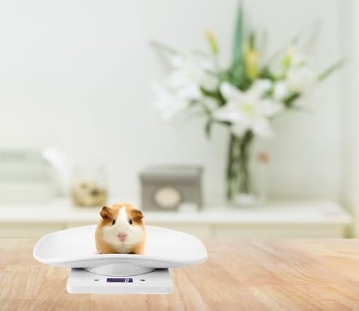 Digital Pet Scale, LCD Animal Scale, 0-22Pound High Accuracy Electronic Weighing Scale, Multifunctional Electronic Weighing Scale for Small Animals Hamster Birds Kittens (No Battery Included)