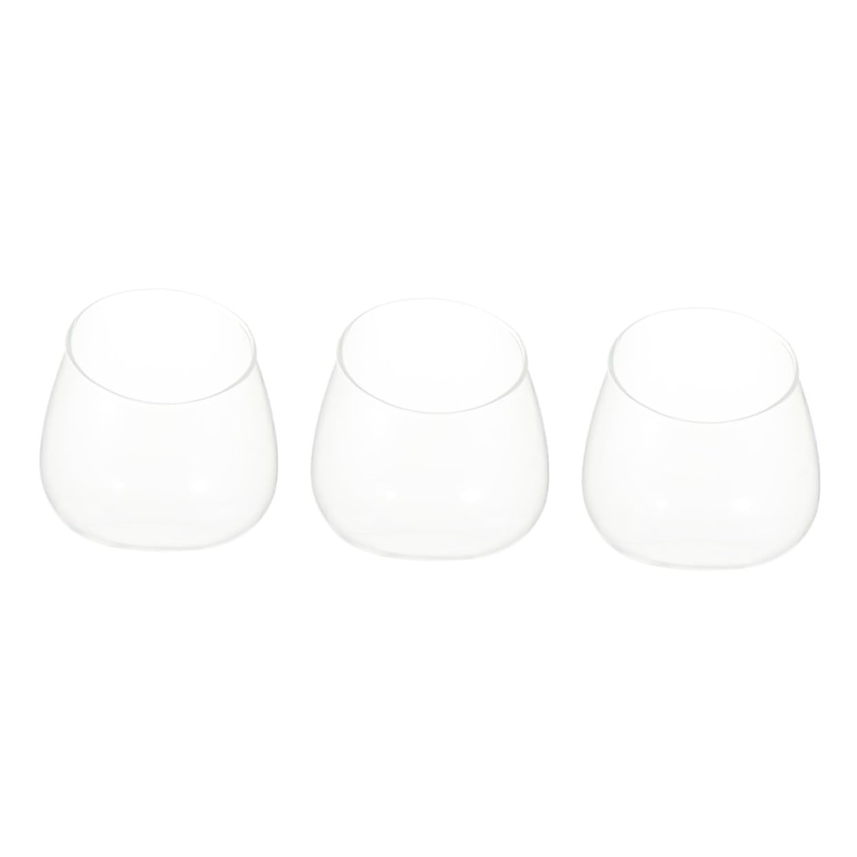 HOODANCOS 3pcs Glass Slant Cut Terrarium Bottle Decorative Micro Landscape Display for Succulents Plants for Home Decor Unique Ornament