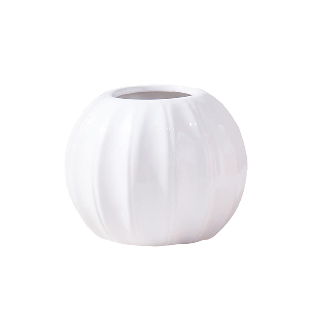 WAIT FLY Creative Pumpkin Shape Ceramic Vase for Flower Dry Flower Hydroponic Planter Decorative Vase for Home Room Office Party Wedding-White