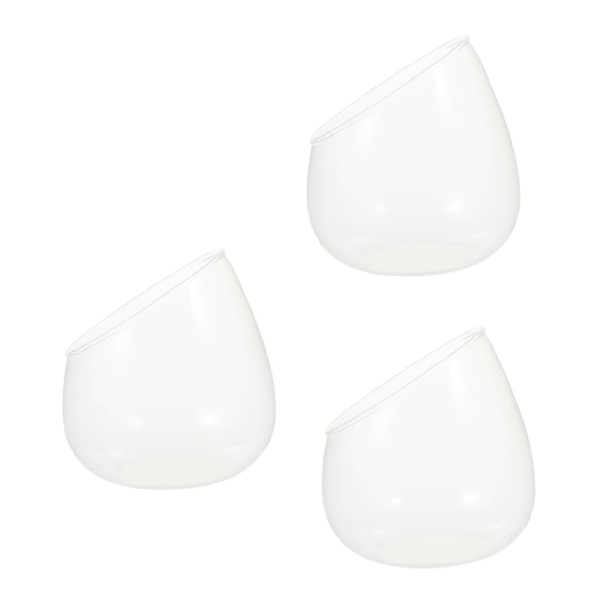 TIDTALEO 3pcs Slant Cut Glass Bottles Ecological Terrarium Vases for Succulent Plants Desktop Micro Landscape Decoration