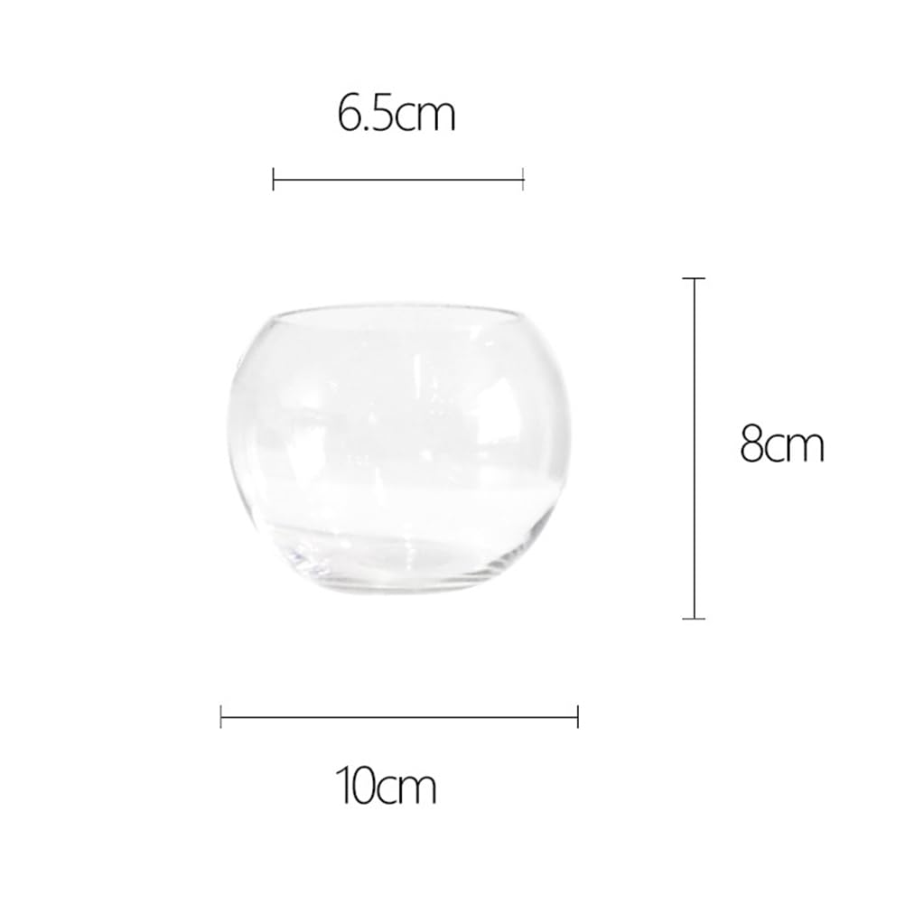 Luxshiny 2Pcs Clear Glass Vase Container 4 Inch Round Hydroponic Plant Holder Decorative Desktop Flower Pot for Home Office Hotel