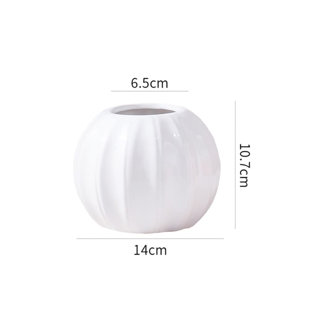 WAIT FLY Creative Pumpkin Shape Ceramic Vase for Flower Dry Flower Hydroponic Planter Decorative Vase for Home Room Office Party Wedding-White
