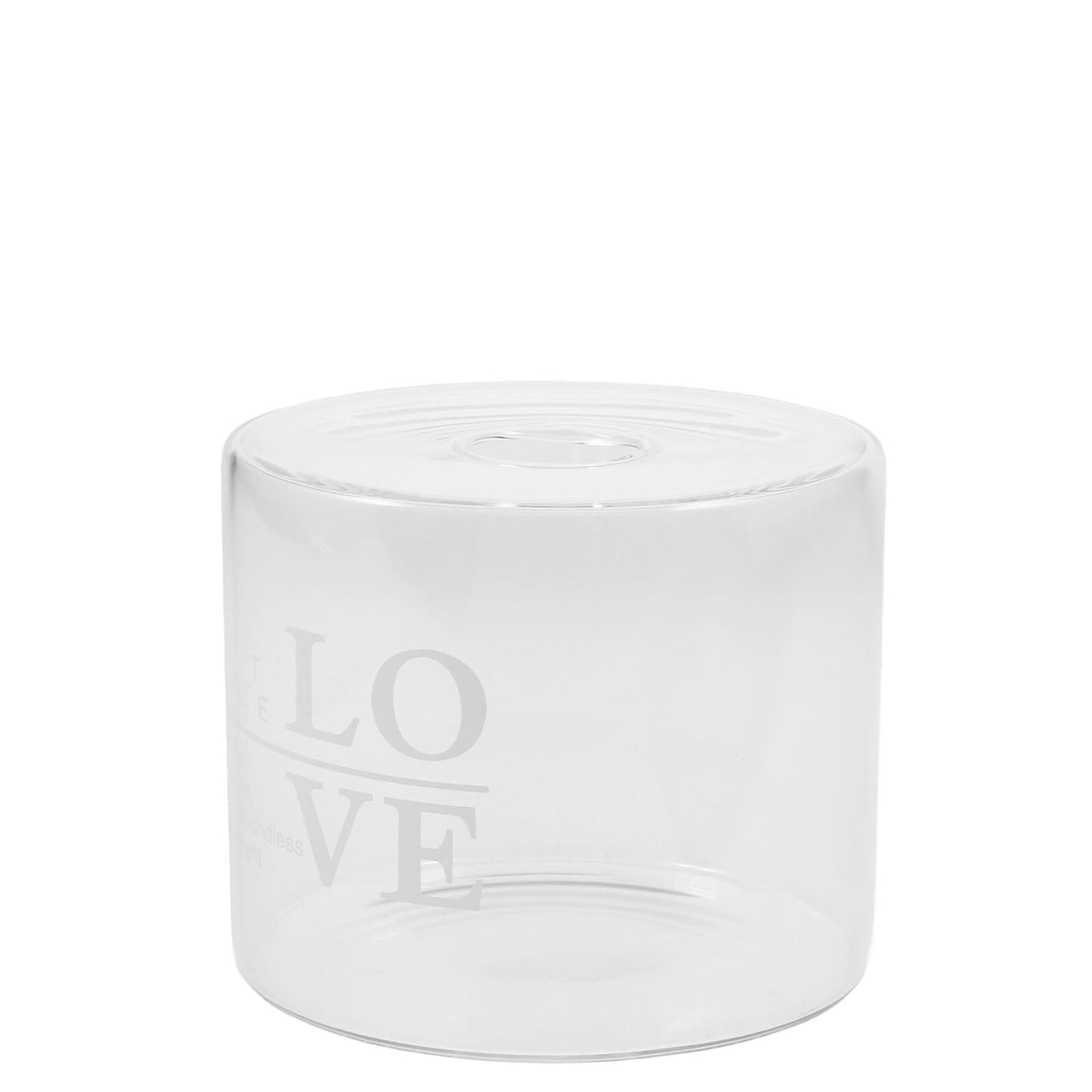OSALADI Glass Hydroponic Vase Desktop Flower Holder Small Letter Vase for Home Décor, European Style Love Glass Planter for Fresh Flowers and Terrarium Plants