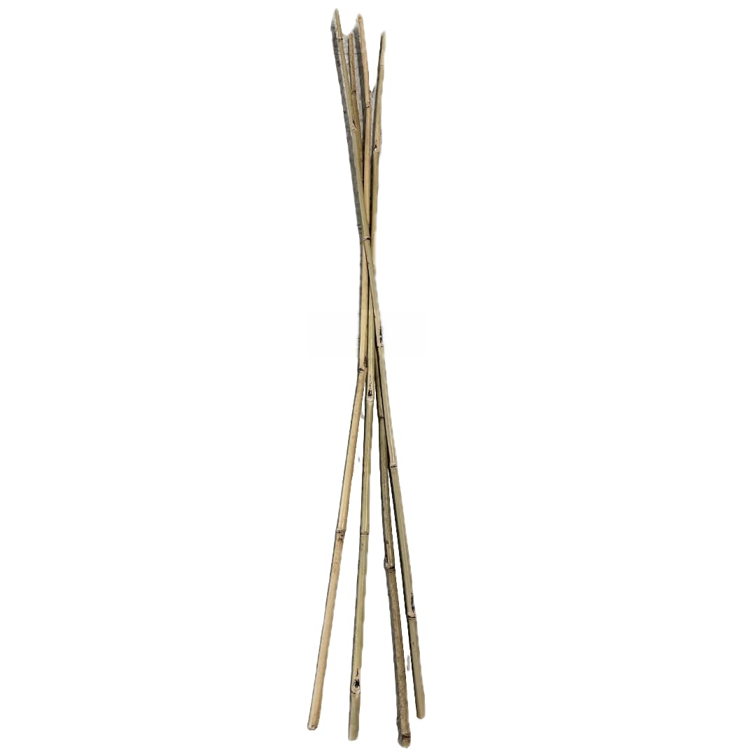 Farm Plastic Supply - Bamboo Garden Stakes - Bambo Sticks, Bamboo Plant Stakes for Outdoor Plants, Plant Support Stakes for Indoor Plants (7 Foot, 20)