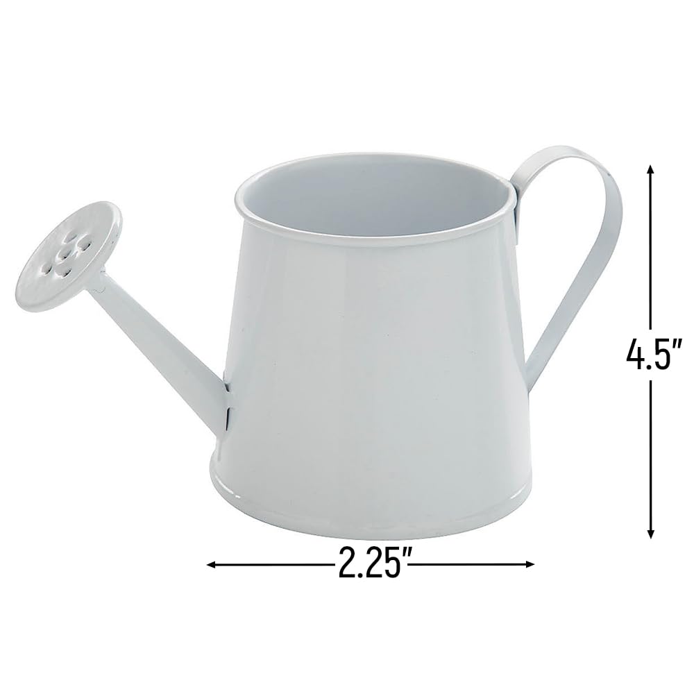 Fun Express Mini Watering Can Tabletop Decorations - 12 Pieces - Great for Spring and Garden Home Decor, Weddings and Other Table Centerpieces