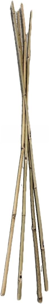 Farm Plastic Supply - Bamboo Garden Stakes - Bambo Sticks, Bamboo Plant Stakes for Outdoor Plants, Plant Support Stakes for Indoor Plants (4 Foot, 25)