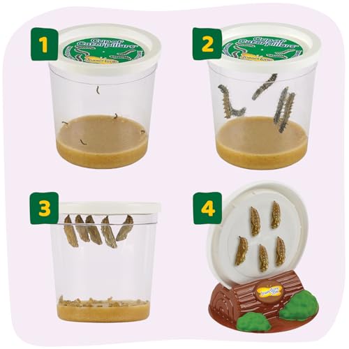 Insect Lore Giant Butterfly Garden with Voucher | 18 Inch Habitat | Life Cycle Figurines Included | Voucher to Redeem 5 Baby Caterpillars Later | Raise Painted Lady Butterflies