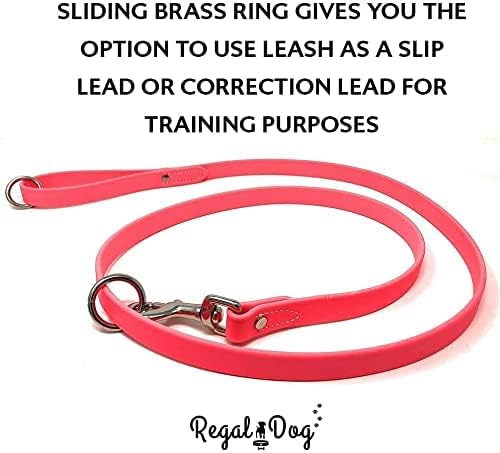 Regal Dog Products Large Pink Waterproof Biothane Dog Collar and Leash Set | Heavy Duty Double Buckle & D Ring - 5'ft Leash | Adjustable, Chew Resistant Collar for Dogs