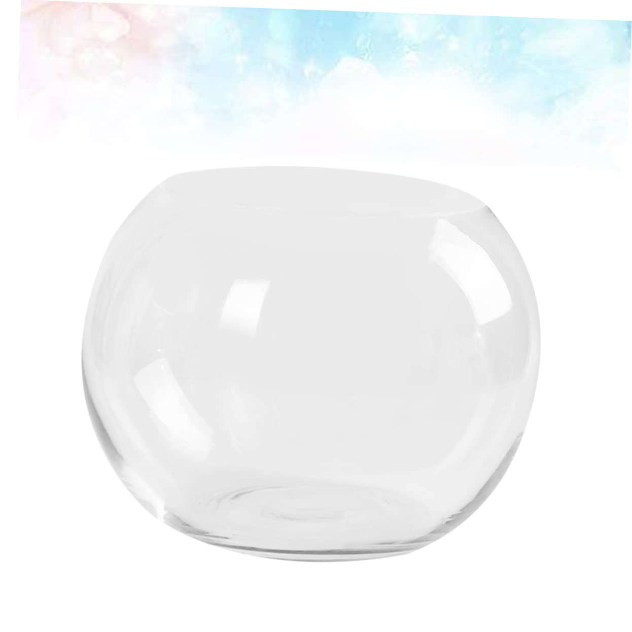 Sosoport Hydroponics Glass Vase Transparent Desktop Flower Pot Smooth Surface Decorative Plant Holder for Home Office Hotel Terrarium Succulent Display
