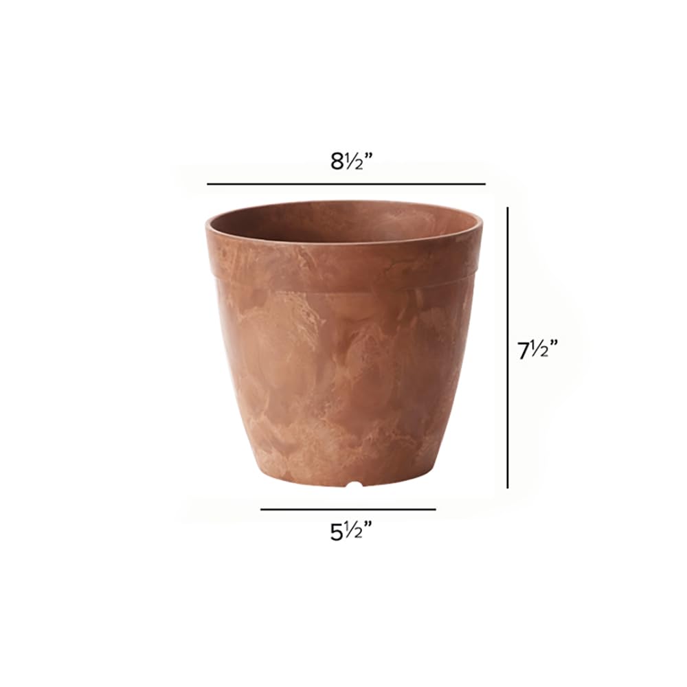 Root & Vessel Dolce Round Planter, Rust, 8"