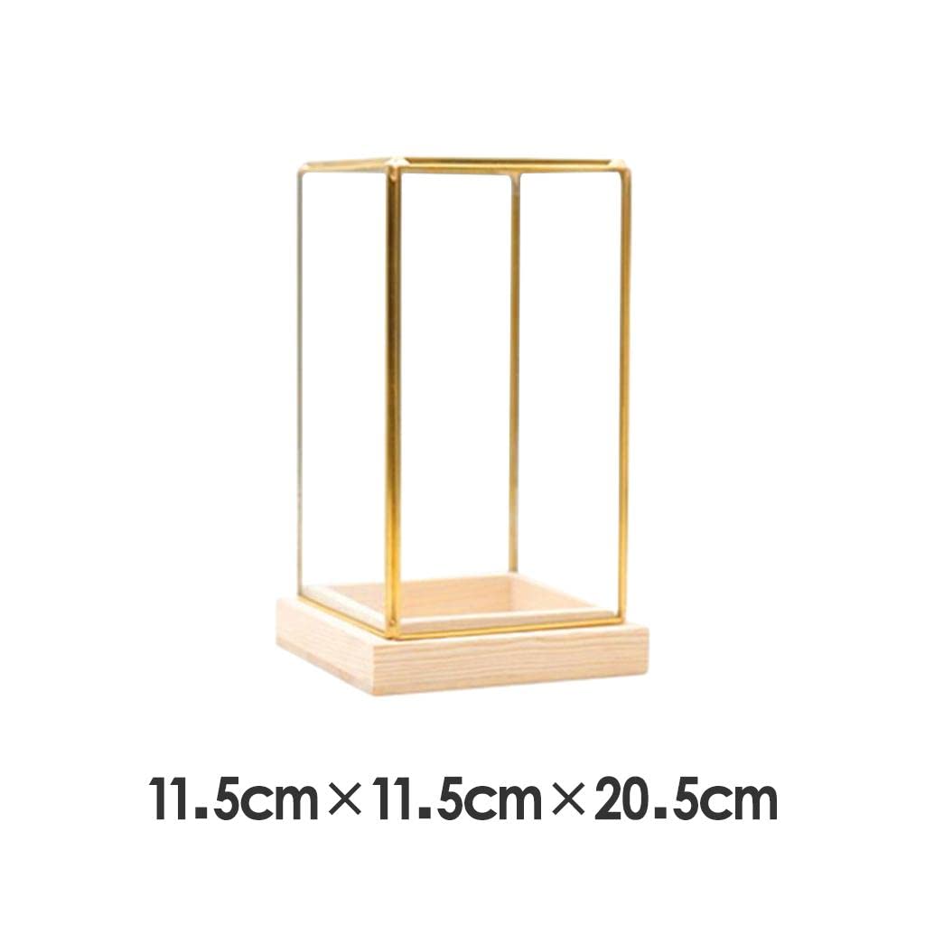 homozy Generic Glass Display Case Decorative Dustproof Showcase with Brass Frames, Lock, Displaying Box for Collectibles Jar Terrarium Plants Glass Container, S