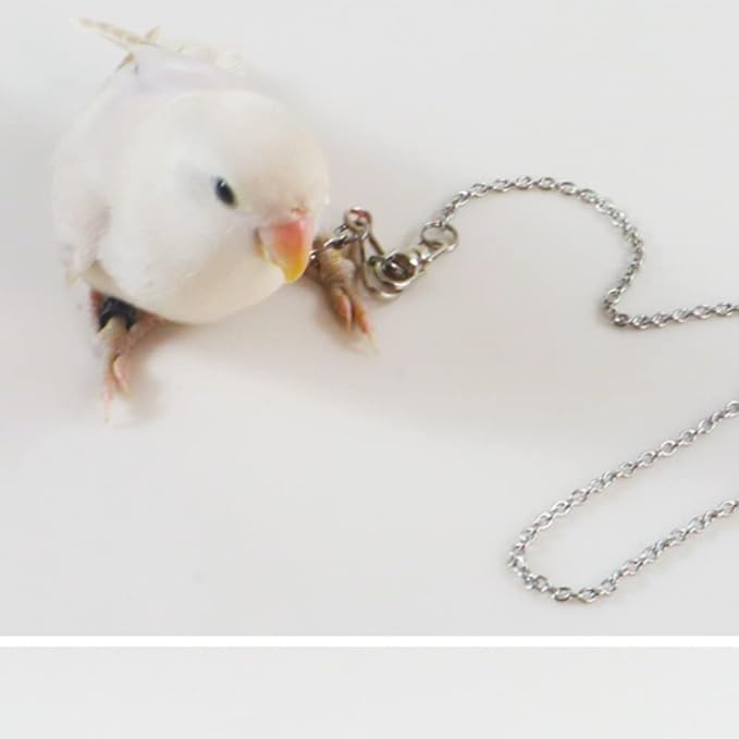 Bird Foot Chain Flying Stainless Steel Training Rope Outdoor Parrot Ankle Foot Ring Accessories Bird Harness Leash Prevent Escaping (4#)