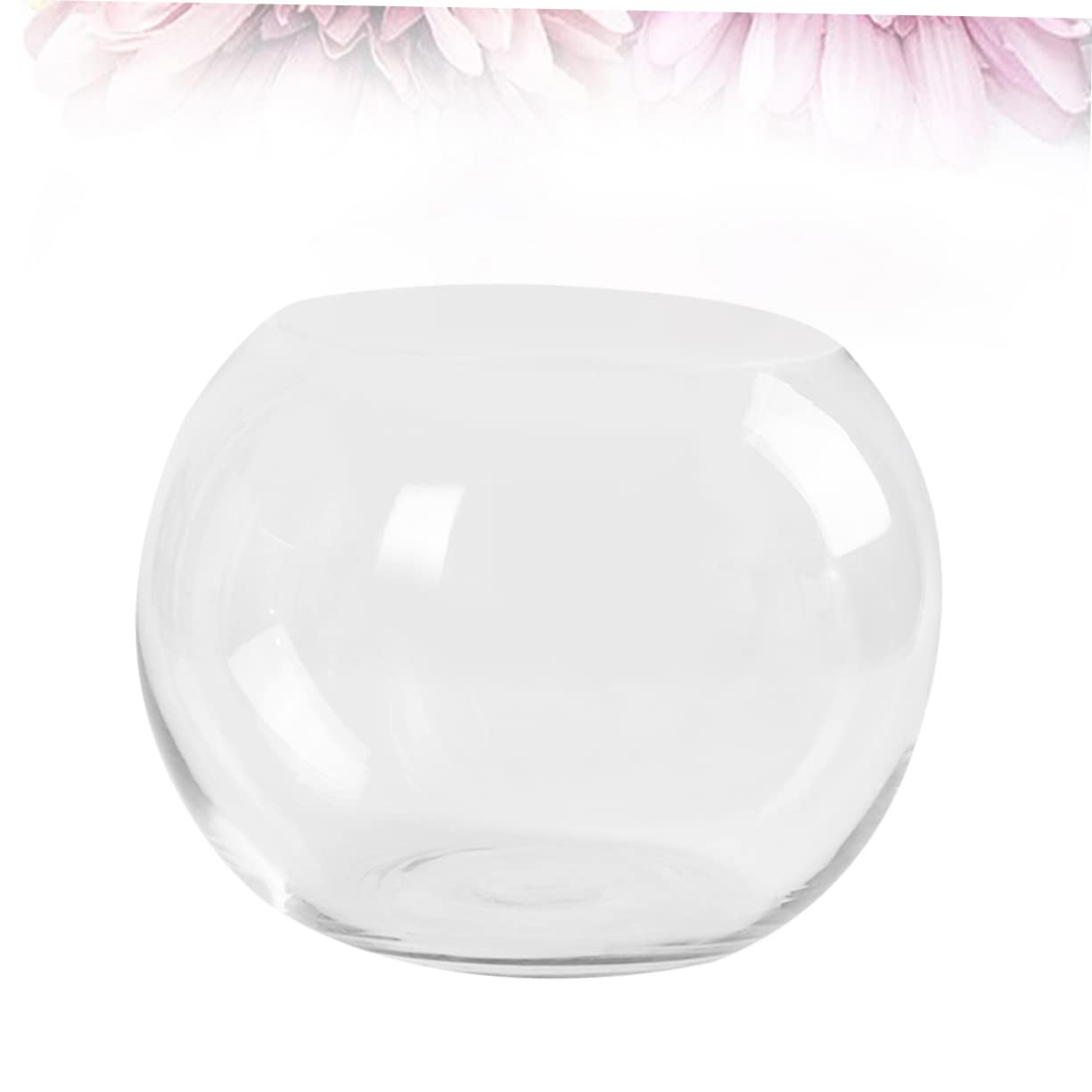 PHENOFICE Transparent Hydroponics Glass Vase Rounded Desktop Flower Holder for Succulents Terrarium and Fish Decorative Plant Pot for Home Office Hotel Ornament