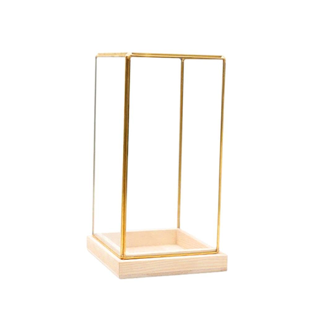 homozy Generic Glass Display Case Decorative Dustproof Showcase with Brass Frames, Lock, Displaying Box for Collectibles Jar Terrarium Plants Glass Container, S