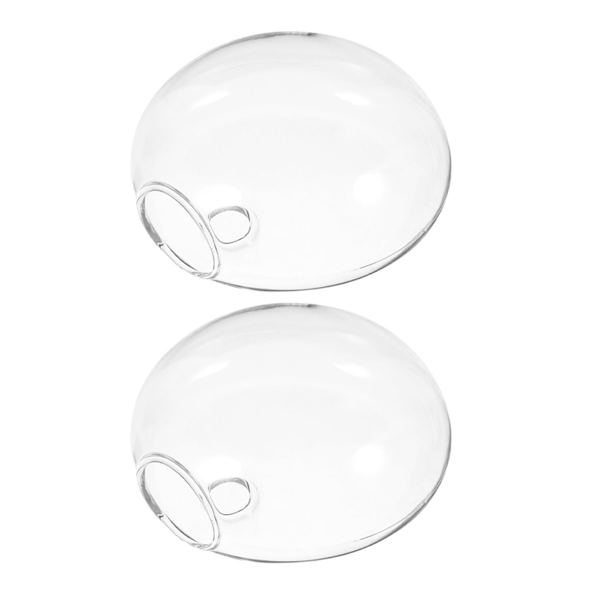NUOBESTY 2pcs Wall Hanging Glass Planter Vase Set, Hydroponic Terrarium Container for Indoor Plants, Decorative Glass Flower Vases for Home and Office Wall Décor