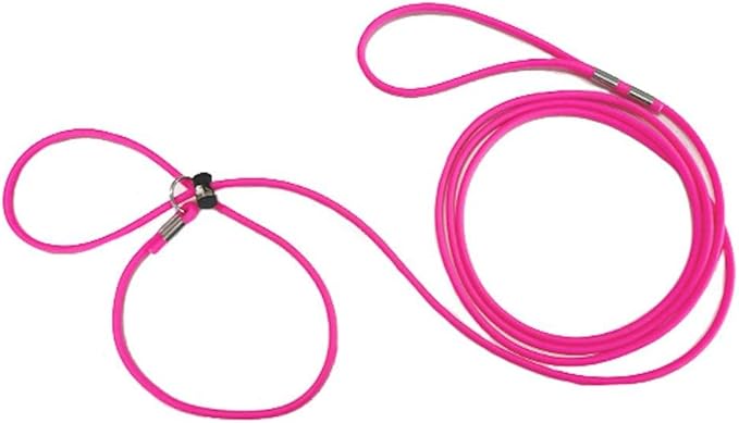 12-Foot Mini Pig Harness - Adjustable Harness & Leash for All Animals - Pigs, Ferrets, Rabbits, Guinea Pigs, Dogs, Cats, Reptile, and Chickens
