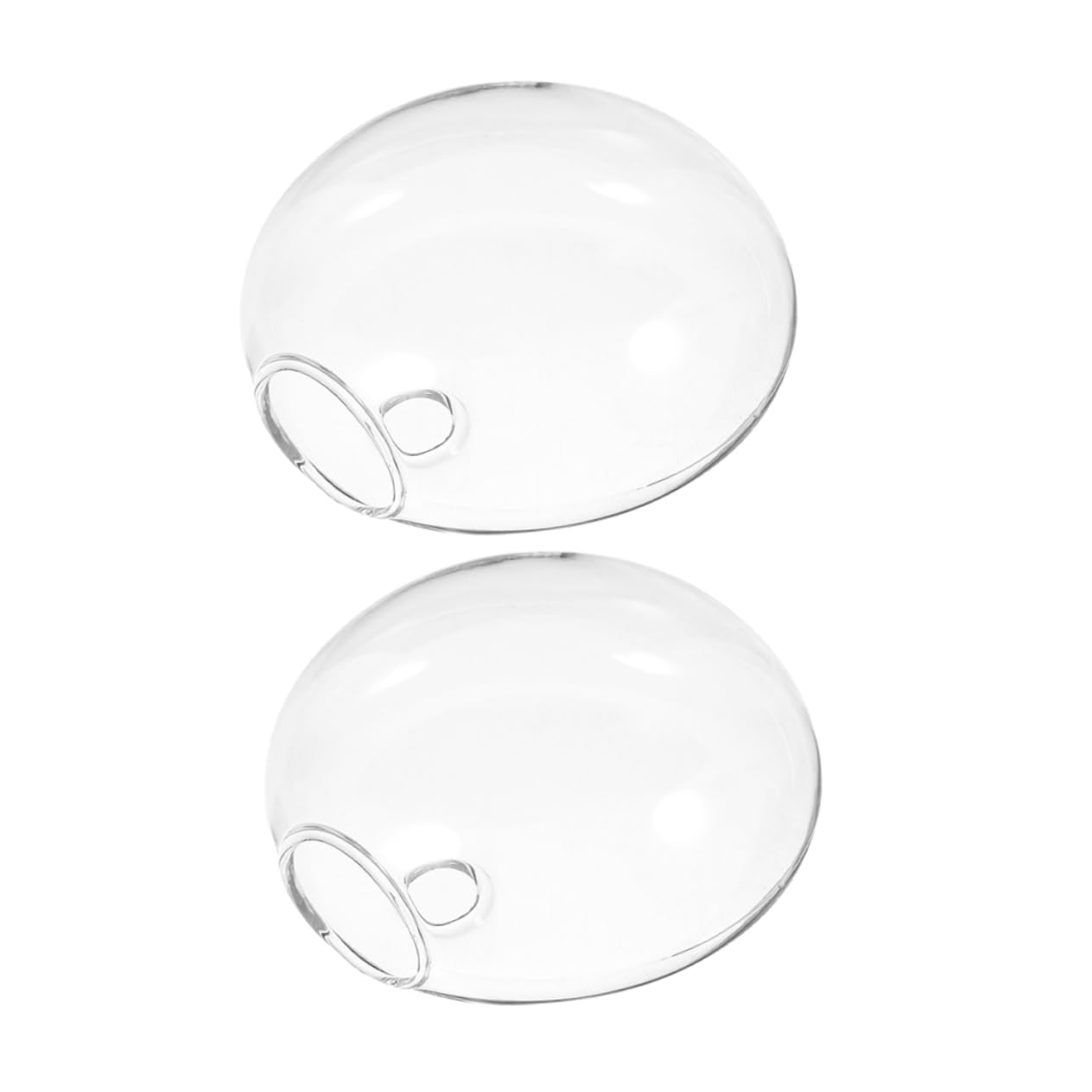 Cabilock 2pcs Wall-Mounted Glass Hydroponics Vases Cool Plant Terrariums for Home Office Decor Glass Flower Pots Root Display Vases