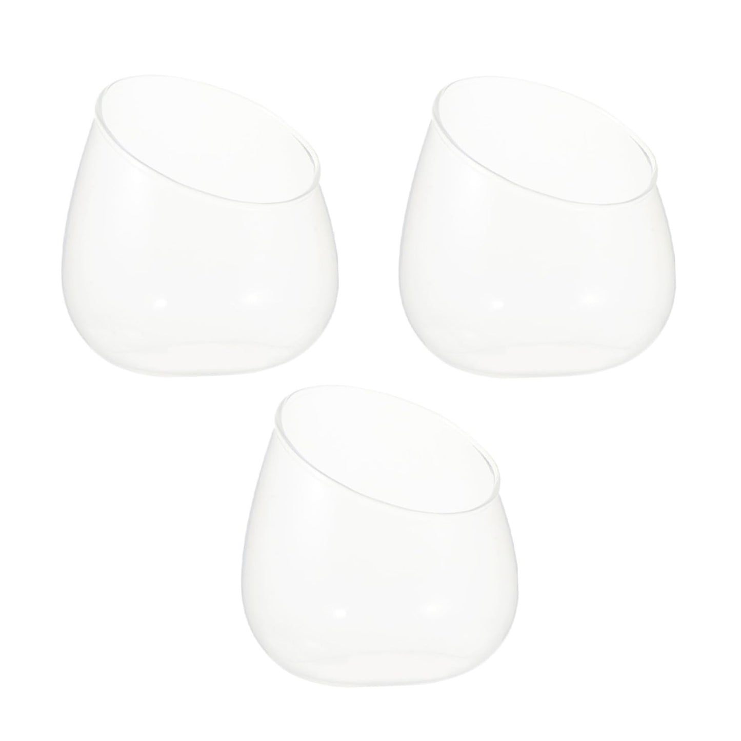 TIDTALEO 3pcs Slant Cut Glass Bottles Ecological Terrarium Vases for Succulent Plants Desktop Micro Landscape Decoration