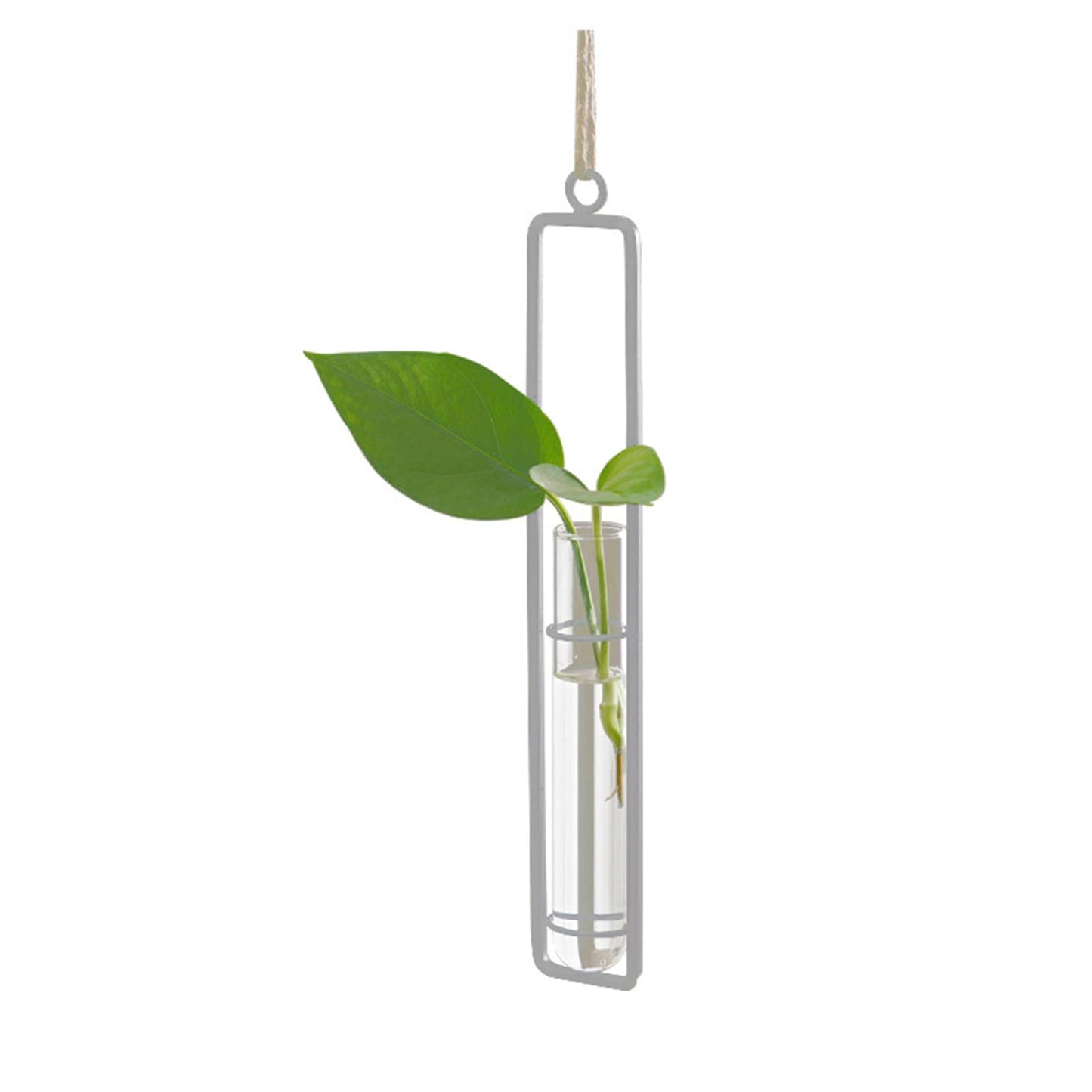 AQRICHFOX 3 Pieces Hanging Plant Glass Test Tubes Hydroponic Vase Planters Wall-Mounted Terrarium Container for Indoor Outdoor Home Decoration (White)