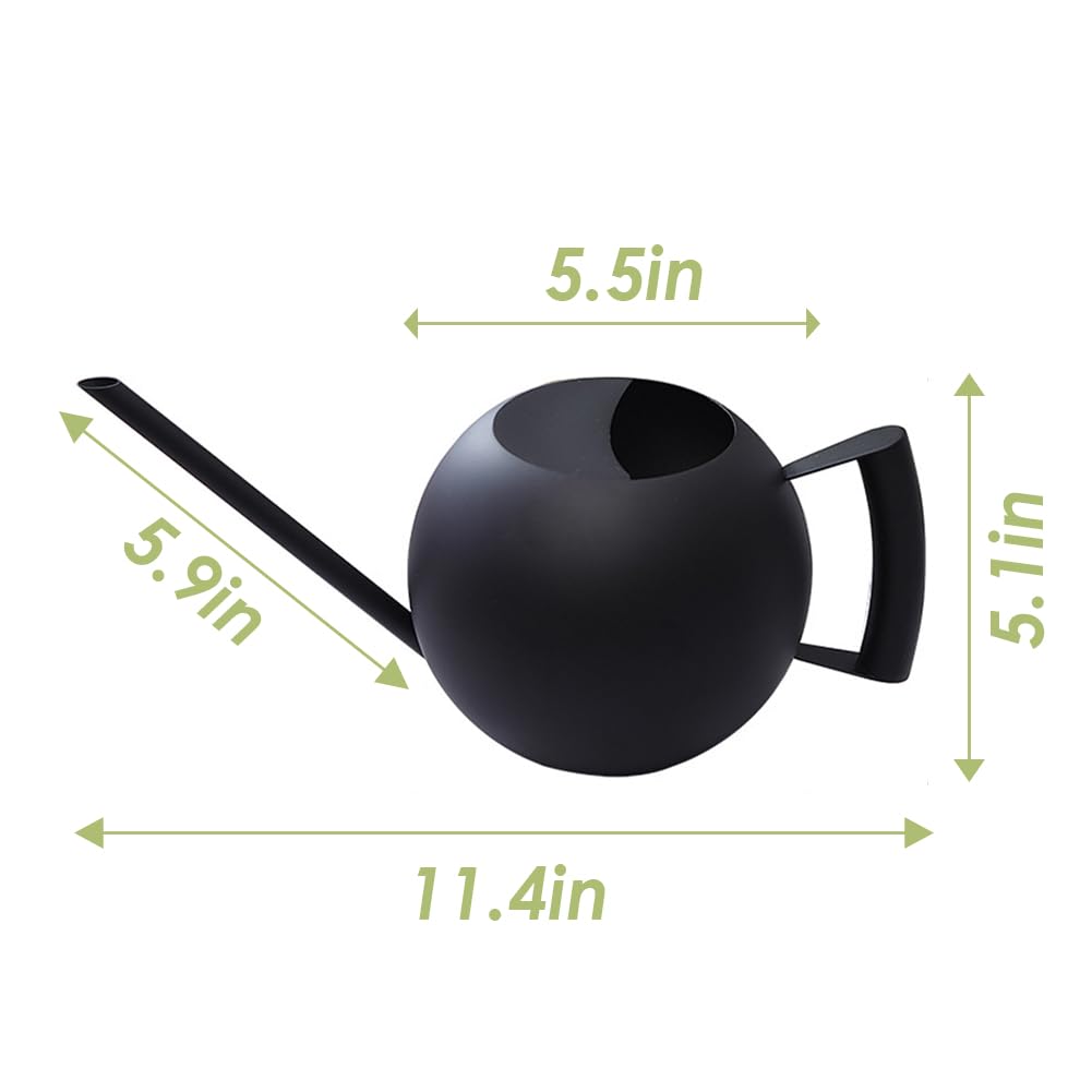 Chemlliy Watering Can with Long Spout and Comfortable Handle, 35 oz/1000ml Small Watering Can for Indoor Plants, Stainless Steel Garden Watering Pot for Indoor House Plants Bonsai Flower Decorative