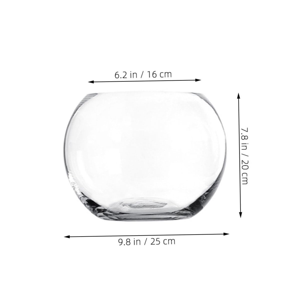 Ipetboom Transparent Hydroponic Glass Vase Rounded Desktop Plant Holder for Home Office Hotel Decor Smooth Rust Resistant Surface Fish Tank Terrarium Centerpiece