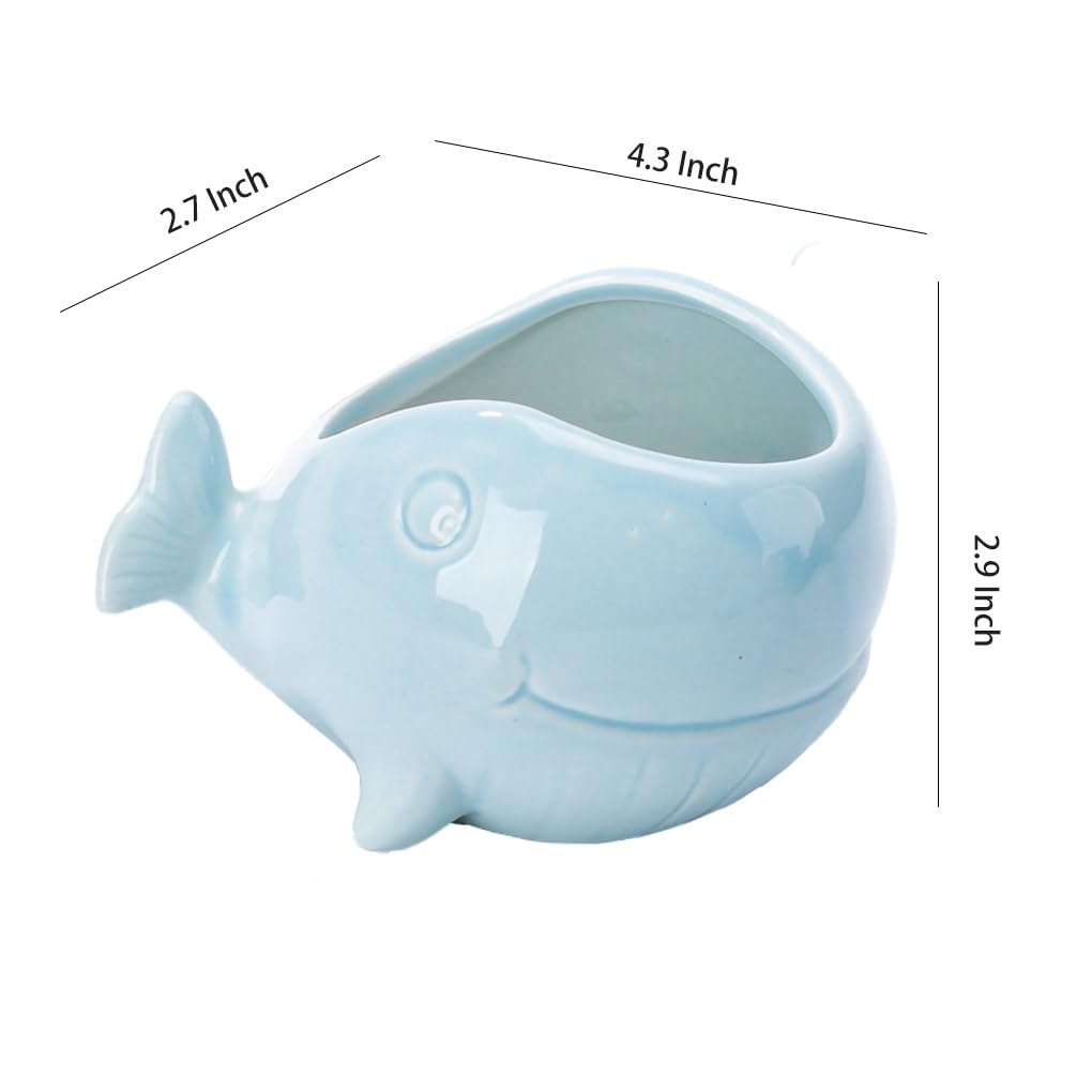 WAIT FLY Cute Fish Shape Ceramic Flower Pots Succulent Planters-Whale-2 PCS