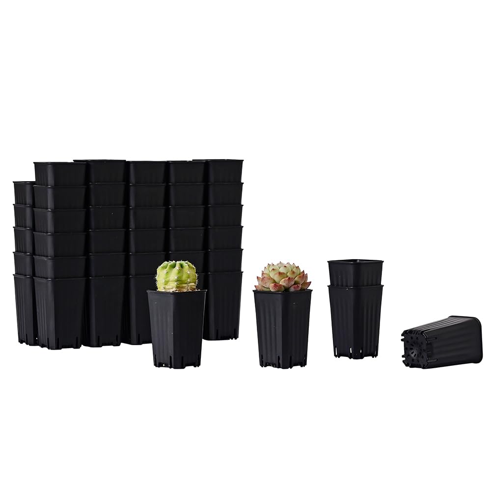 BangQiao 60 Pack 1.95 Inch Tiny Black Plastic Square Nursery and Seedling Pot, Mini Deep Transplant Seed Starter Planter with Drain Hole for Germination, Herb, Succulent