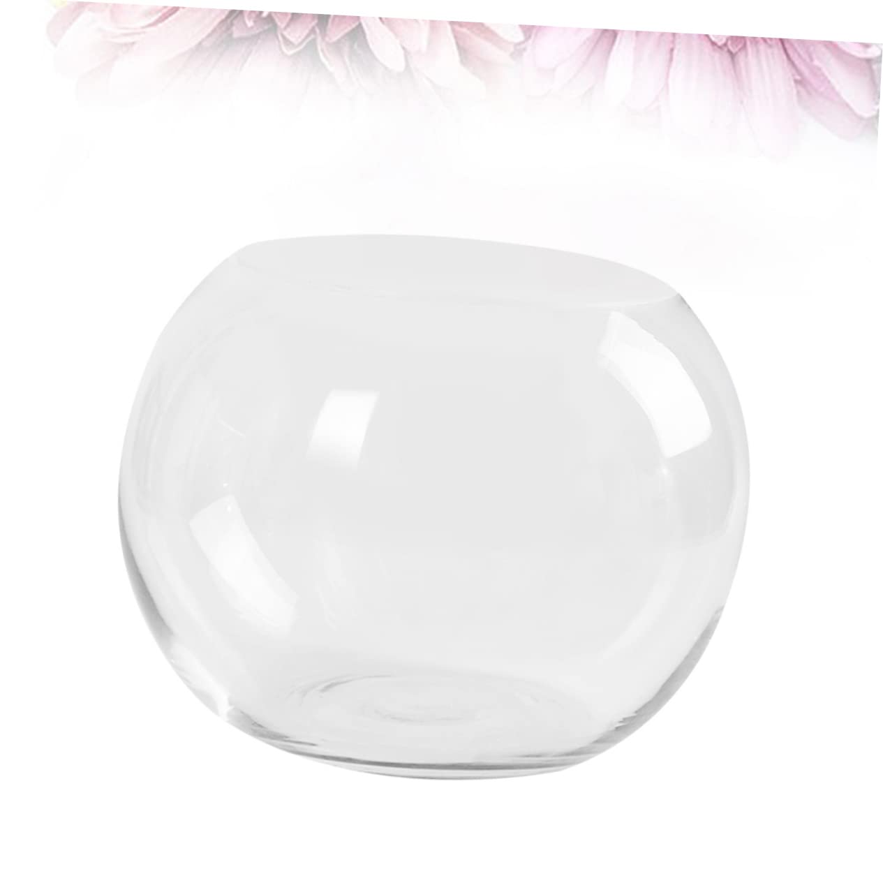 Sosoport Hydroponics Glass Vase Transparent Desktop Flower Pot Smooth Surface Decorative Plant Holder for Home Office Hotel Terrarium Succulent Display