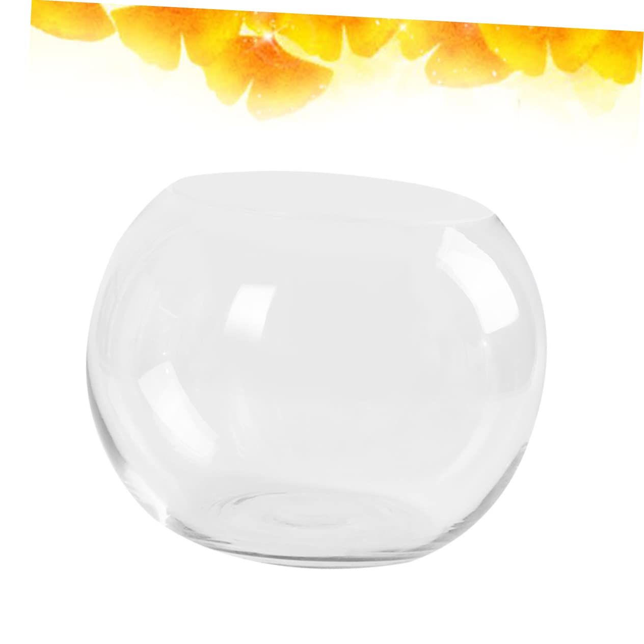 PHENOFICE Transparent Hydroponics Glass Vase Rounded Desktop Flower Holder for Succulents Terrarium and Fish Decorative Plant Pot for Home Office Hotel Ornament