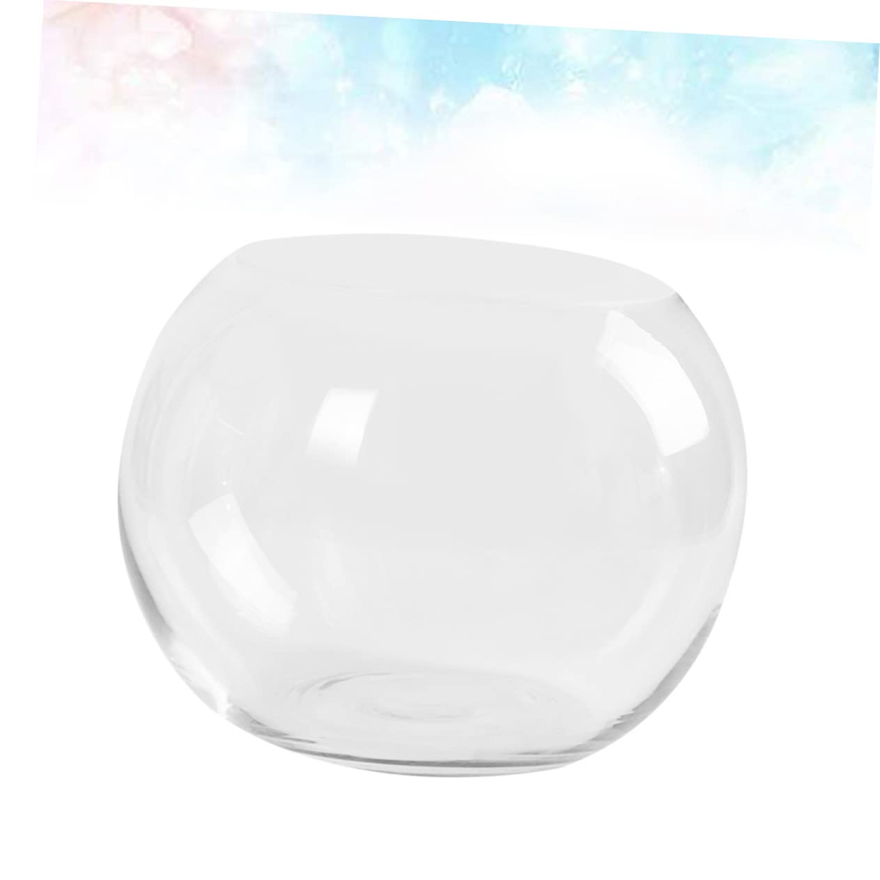 PHENOFICE Transparent Hydroponics Glass Vase Rounded Desktop Flower Holder for Succulents Terrarium and Fish Decorative Plant Pot for Home Office Hotel Ornament