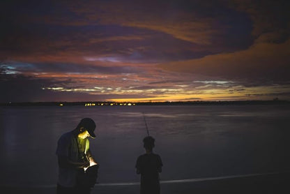 MagLite Battery-Powered LED Flashlight – ML300L 2-Cell D Flashlight with Adjustable Focus, Precise Beam, Long Battery Life, Water-Resistant for Emergency, Outdoor, and Camping