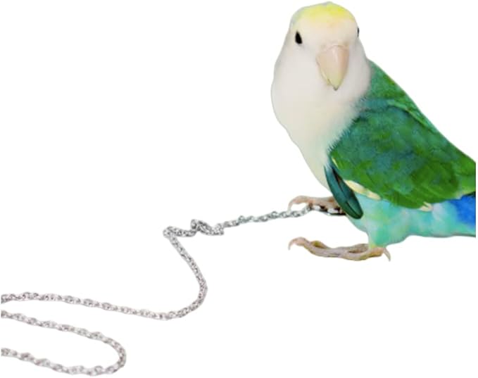 Bird Foot Chain Flying Stainless Steel Training Rope Outdoor Parrot Ankle Foot Ring Accessories Bird Harness Leash Prevent Escaping (5#)