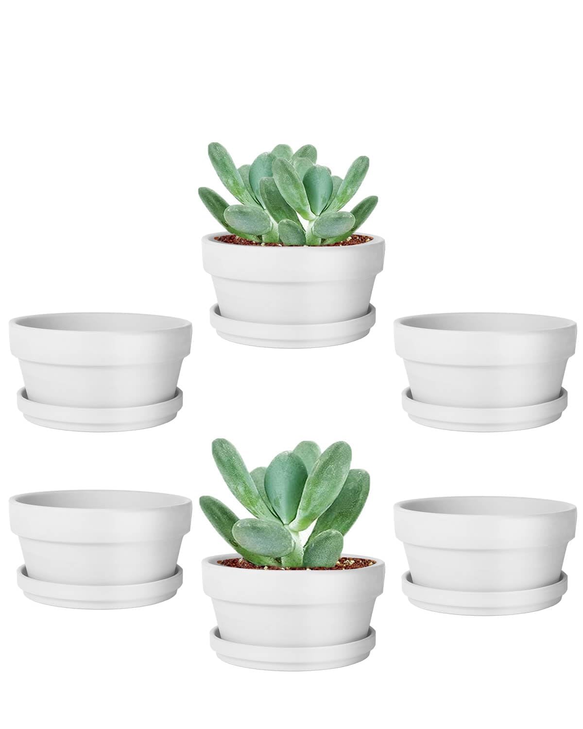vensovo 3.7 Inch White Terracotta Shallow Succulent Pots - 6 Pack Terra Cotta Clay Pot with Saucer, Cacuts Indoor and Outdoor Planters with Drainage Hole