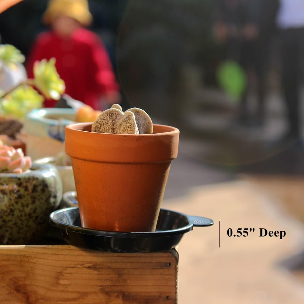 BangQiao 30 Pack 3.15 Inch Plastic Tiny Round Plant Pot Saucer Tray for Indoor and Outdoor Plants, Black