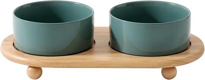 Havniva Raised Cat Bowls Water Bowl 6.1” Elevated Ceramic Cat Food and Water Bowl Whisker Friendly Pet Food Bowls for Indoor Cats, Wide Cat Water Dish Prevent Whisker Fatigue Non Slip Cat Feeder