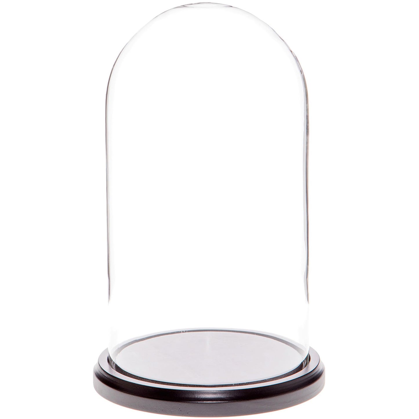 Plymor 5.5" x 10" Glass Display Dome Cloche (Black MDF Wood Base)