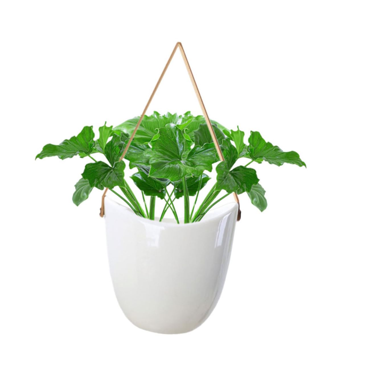COLLBATH 2Pcs Ceramic Hanging Planter Indoor Modern Plant Hanger for Succulents Stylish Pot for Home Decor Wall-Mounted Flowerpot Garden Accessory