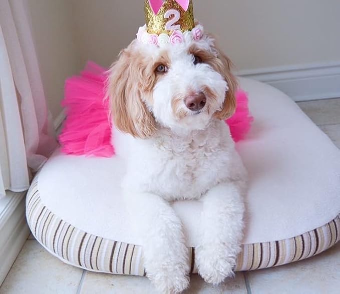 Essentia Kingston Luxury Organic Pet Bed - Small