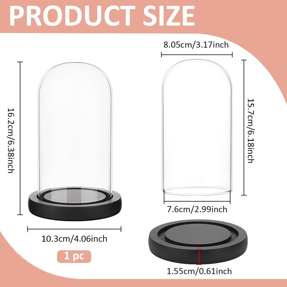 BENECREAT Glass Cloche Dome with Wood Base, 6.18x2.99inch Arch Display Dome for Plants and Collectibles, Complete Set Glass Bell Jar with Solid Wood Stand for Home Decor, Black