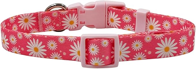 Dog Collar Leash Set, Floral Pattern, Polyester Material, Adjustable Collar and 5ft Matching Leash, for Small Dogs.(S, Daisy)
