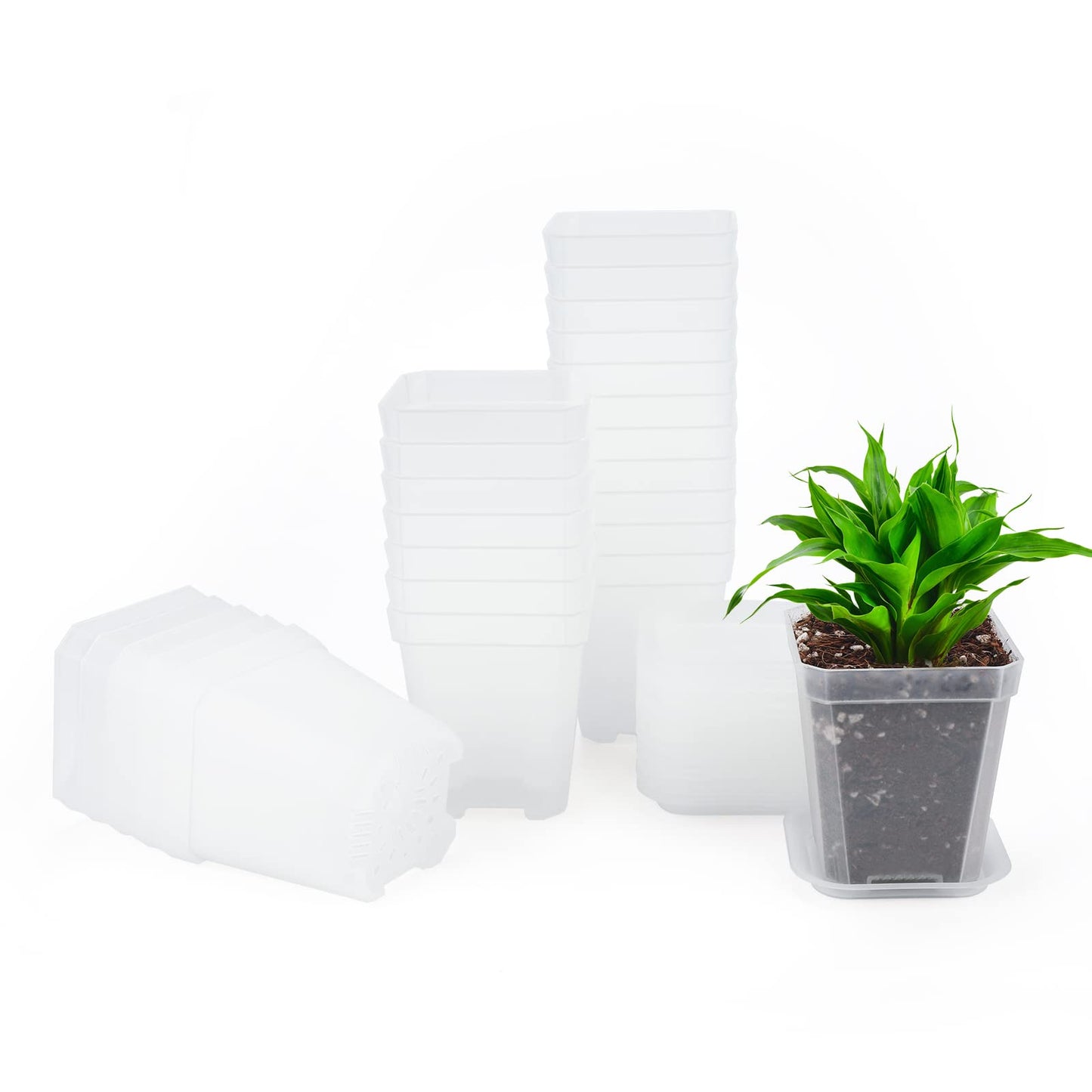 KINGLAKE 3inch Nursery Pots,24 Pcs Thick Plastic Square Planter Pots,Flower Plant Container Seed Starting Transplanting Pots (Clear)