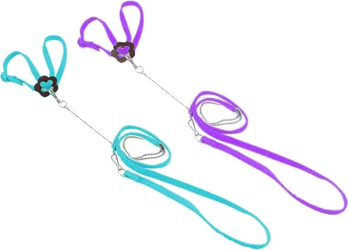 Adjustable Harness Leash for Birds 2Pack Nylon Anti-bite Outdoor Training Walking Control Rope for Parrot African Grey Cockatoo Macaw Ringneck Parakeet Cockatiel Reptile Lizard (Blue+Purple)