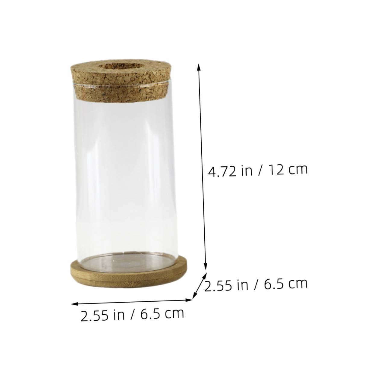 MAGICLULU Glass Hydroponic Vase Set for Succulents and Green Plants, Glass Flower Arrangement Container with Mat, 6.5x12cm, 2pcs Home Décor Terrarium Planter